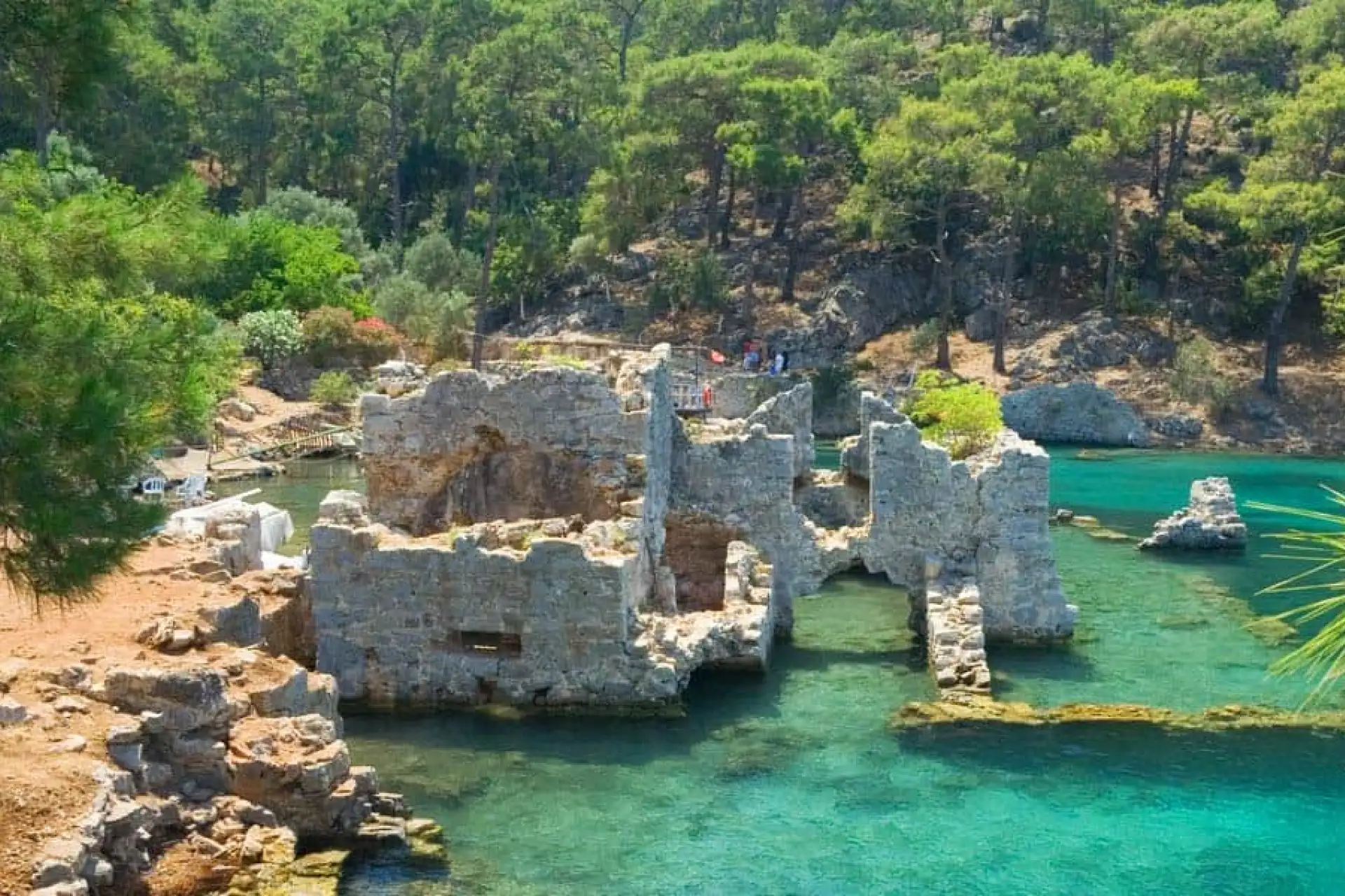 Kleopatra Koyu